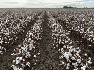 Rural / Farming commercial property for sale at Part Farm 1082, 1386 Murrami Road Leeton NSW 2705 Rural / Farming commercial property for sale at Part Farm 1082, 1386 Murrami Road Leeton NSW 2705