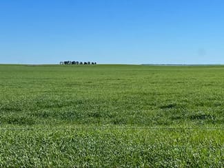 Rural / Farming commercial property sold at Section 3 Heinzel Road Parrakie SA 5301 Rural / Farming commercial property sold at Section 3 Heinzel Road Parrakie SA 5301