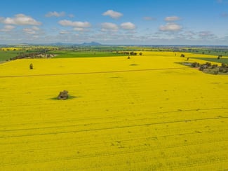 Rural / Farming commercial property sold at 187 Smiths Road Collingullie NSW 2650 Rural / Farming commercial property sold at 187 Smiths Road Collingullie NSW 2650
