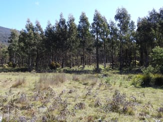 Rural / Farming commercial property sold at 2140066, 2140066 Hop Valley Road Blackwood Creek TAS 7301 Rural / Farming commercial property sold at 2140066, 2140066 Hop Valley Road Blackwood Creek TAS 7301