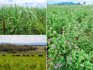Rural / Farming commercial property sold at 511 Bithramere Lane Tamworth NSW 2340