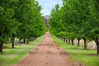 Rural / Farming commercial property sold at 29 Kelly Lane Spring Terrace NSW 2798 Rural / Farming commercial property sold at 29 Kelly Lane Spring Terrace NSW 2798
