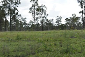 Rural / Farming commercial property sold at 155 Wilsons Road Tiaro QLD 4650