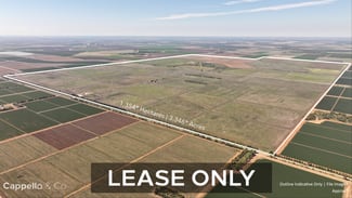 Rural / Farming commercial property for sale at Willbriggie NSW 2680