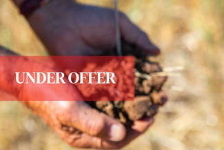 Rural / Farming commercial property sold at Marrabel Road Hamilton SA 5373 Rural / Farming commercial property sold at Marrabel Road Hamilton SA 5373