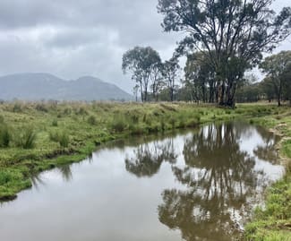 Rural / Farming commercial property sold at 293 Mossy Rock Lane Rylstone NSW 2849 Rural / Farming commercial property sold at 293 Mossy Rock Lane Rylstone NSW 2849