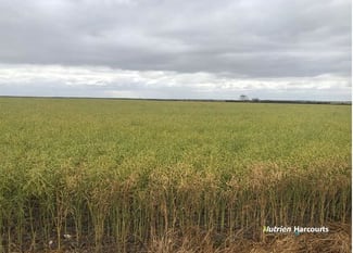 Rural / Farming commercial property sold at , Johnstone's Block Mindarabin WA 6336 Rural / Farming commercial property sold at , Johnstone's Block Mindarabin WA 6336