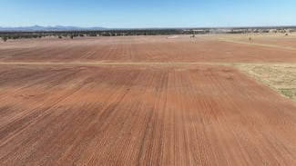 Rural / Farming commercial property sold at Kaemar 3905 Baradine Road Coonamble NSW 2829