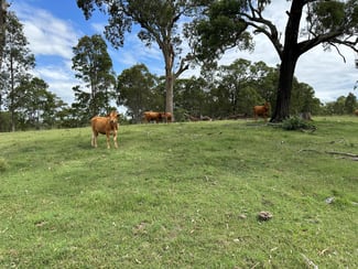 Rural / Farming commercial property sold at 95/3709 Clarence Town Road Dungog NSW 2420