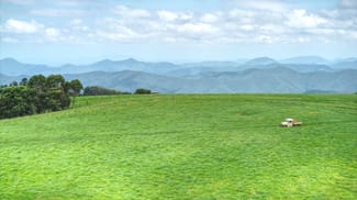 Rural / Farming commercial property sold at Dorrigo NSW 2453 Rural / Farming commercial property sold at Dorrigo NSW 2453