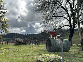 Rural / Farming commercial property sold at 234 Taradale Road Tumbarumba NSW 2653 Rural / Farming commercial property sold at 234 Taradale Road Tumbarumba NSW 2653