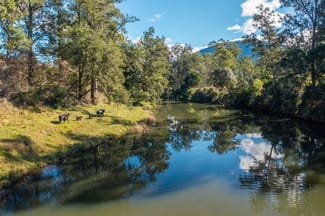 Rural / Farming commercial property for sale at 125 Jasper Creek Road Mount Seaview NSW 2446