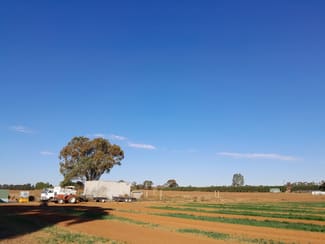 Rural / Farming commercial property for sale at Woorinen North VIC 3589