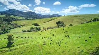 Rural / Farming commercial property for sale at Dorrigo NSW 2453 Rural / Farming commercial property for sale at Dorrigo NSW 2453