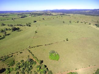 Rural / Farming commercial property for sale at Millaa Millaa QLD 4886