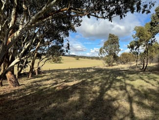 Rural / Farming commercial property sold at Koorama Road Stanley Flat SA 5453 Rural / Farming commercial property sold at Koorama Road Stanley Flat SA 5453