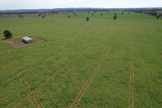 Rural / Farming commercial property for sale at "Ben Hall Park" Yarrangong Road Forbes NSW 2871 Rural / Farming commercial property for sale at "Ben Hall Park" Yarrangong Road Forbes NSW 2871