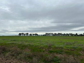 Rural / Farming commercial property sold at 3122 Murray Valley Highway Torrumbarry VIC 3562 Rural / Farming commercial property sold at 3122 Murray Valley Highway Torrumbarry VIC 3562