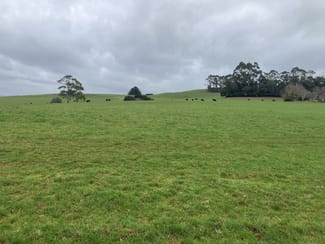 Rural / Farming commercial property for sale at 16797 Bass Highway Flowerdale TAS 7325