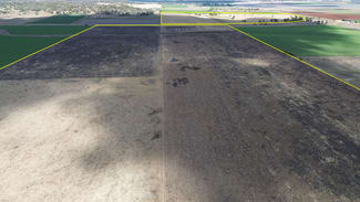Rural / Farming commercial property sold at 1071 Oakey Pittsworth Road Aubigny QLD 4401 Rural / Farming commercial property sold at 1071 Oakey Pittsworth Road Aubigny QLD 4401