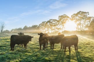 Rural / Farming commercial property sold at 233 Iona Park Road Moss Vale NSW 2577