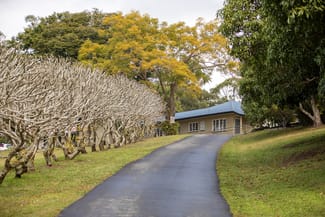 Rural / Farming commercial property sold at 171 Diamond Valley Road Diamond Valley QLD 4553
