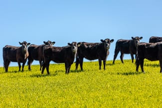 Rural / Farming commercial property sold at 7740 Tumbarumba Road Wagga Wagga NSW 2650 Rural / Farming commercial property sold at 7740 Tumbarumba Road Wagga Wagga NSW 2650