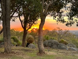 Rural / Farming commercial property sold at Waroona WA 6215