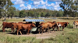 Rural / Farming commercial property for sale at 789 Coppin Road Mungungo QLD 4630 Rural / Farming commercial property for sale at 789 Coppin Road Mungungo QLD 4630