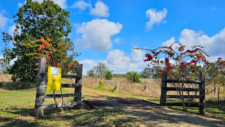 Rural / Farming commercial property sold at 991 Mount Steadman Road Mount Steadman QLD 4625 Rural / Farming commercial property sold at 991 Mount Steadman Road Mount Steadman QLD 4625