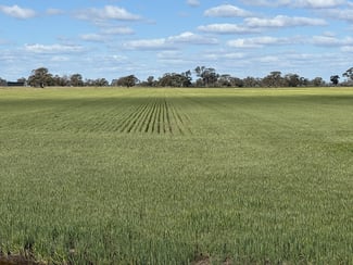 Rural / Farming commercial property sold at 2584 Moulamein Road Barham NSW 2732