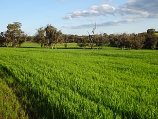 Rural / Farming commercial property sold at Lot 10661 North Wandering Road Hastings WA 6308