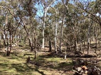 Rural / Farming commercial property sold at Lot 70C & McMillan Lane Beaufort VIC 3373 Rural / Farming commercial property sold at Lot 70C & McMillan Lane Beaufort VIC 3373