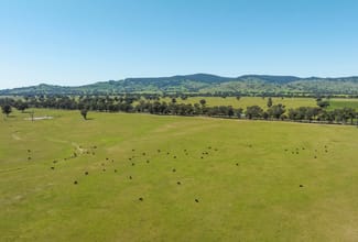 Rural / Farming commercial property sold at Mahers Road Violet Town VIC 3669 Rural / Farming commercial property sold at Mahers Road Violet Town VIC 3669