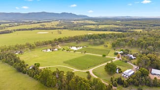 Rural / Farming commercial property sold at 447 Old North Road Pokolbin NSW 2320