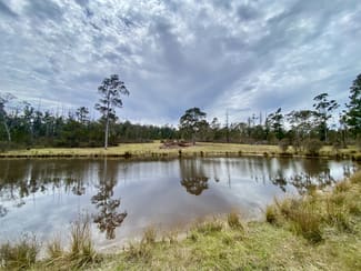 Rural / Farming commercial property sold at 348 Brookvale Lane Braidwood NSW 2622 Rural / Farming commercial property sold at 348 Brookvale Lane Braidwood NSW 2622