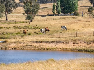 Rural / Farming commercial property for sale at 3705 Frogmore Road Hovells Creek NSW 2794 Rural / Farming commercial property for sale at 3705 Frogmore Road Hovells Creek NSW 2794