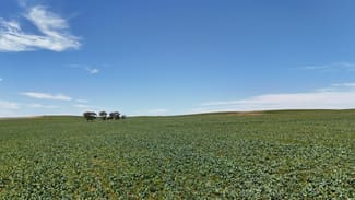 Rural / Farming commercial property sold at 'Cummings' Cudmore Gap Road Jamestown SA 5491 Rural / Farming commercial property sold at 'Cummings' Cudmore Gap Road Jamestown SA 5491