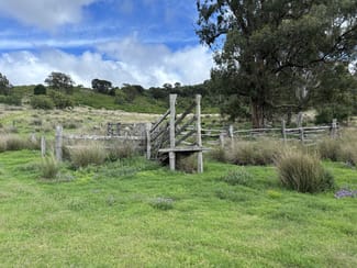 Rural / Farming commercial property sold at Lot 198 Pechey Maclagan Road Groomsville QLD 4352 Rural / Farming commercial property sold at Lot 198 Pechey Maclagan Road Groomsville QLD 4352