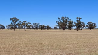 Rural / Farming commercial property sold at 505 Bangham Rd Custon SA 5269