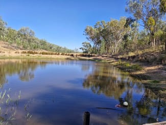 Rural / Farming commercial property sold at Lot 85 Springfield Road Mole River NSW 2372 Rural / Farming commercial property sold at Lot 85 Springfield Road Mole River NSW 2372
