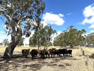 Rural / Farming commercial property for sale at 1287 Charam-wombelano Road Charam VIC 3318 Rural / Farming commercial property for sale at 1287 Charam-wombelano Road Charam VIC 3318