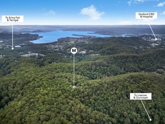 Rural / Farming commercial property sold at 2 Toomeys Road Mount Elliot NSW 2250