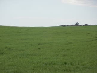 Rural / Farming commercial property for sale at 1481 Parrakie North Road Lameroo SA 5302 Rural / Farming commercial property for sale at 1481 Parrakie North Road Lameroo SA 5302