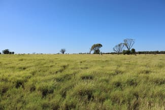 Rural / Farming commercial property sold at 1468 Benlidi Idalia Road Blackall QLD 4472 Rural / Farming commercial property sold at 1468 Benlidi Idalia Road Blackall QLD 4472
