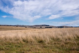 Rural / Farming commercial property sold at 353 Moorilda Road Moorilda NSW 2795 Rural / Farming commercial property sold at 353 Moorilda Road Moorilda NSW 2795