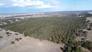 Rural / Farming commercial property sold at Section 292 Crower Road Lucindale SA 5272 Rural / Farming commercial property sold at Section 292 Crower Road Lucindale SA 5272