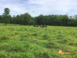 Rural / Farming commercial property for sale at South Innisfail QLD 4860