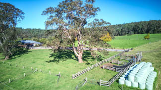 Rural / Farming commercial property for sale at Dorrigo NSW 2453 Rural / Farming commercial property for sale at Dorrigo NSW 2453