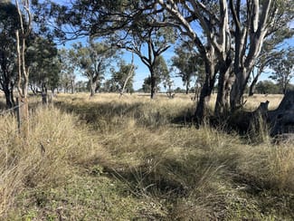Rural / Farming commercial property sold at Kaimkillenbun QLD 4406 Rural / Farming commercial property sold at Kaimkillenbun QLD 4406